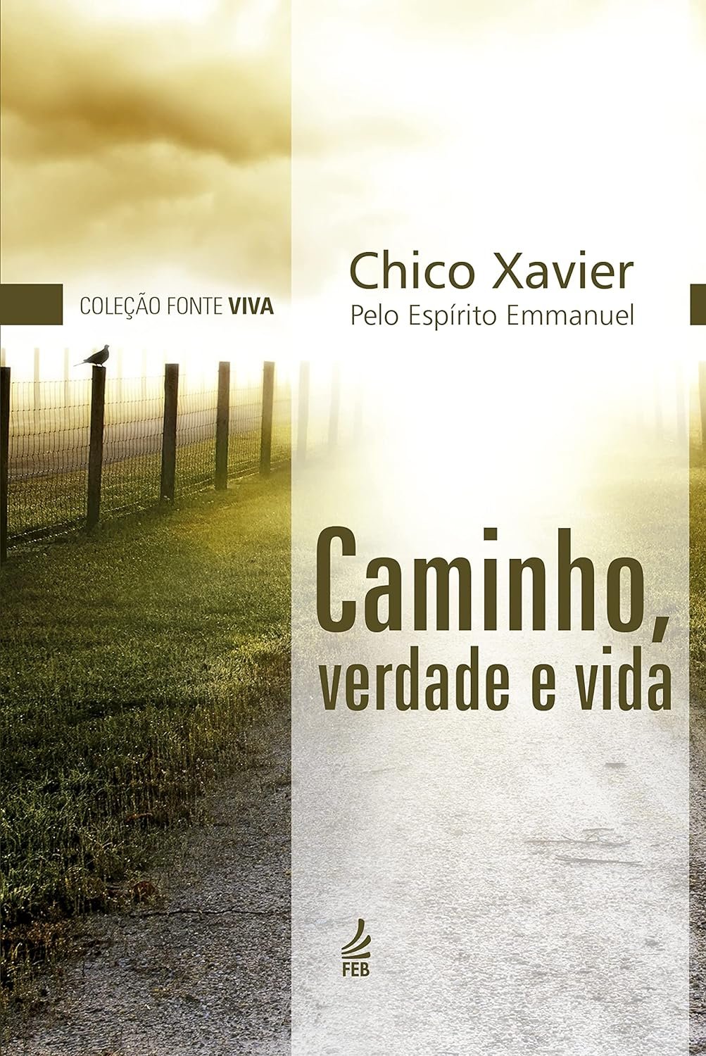 Capa do livro